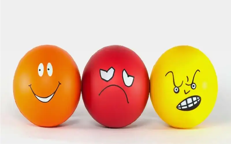 Subjective Leadership: A Practical Approach Beyond Situation Based Leadership