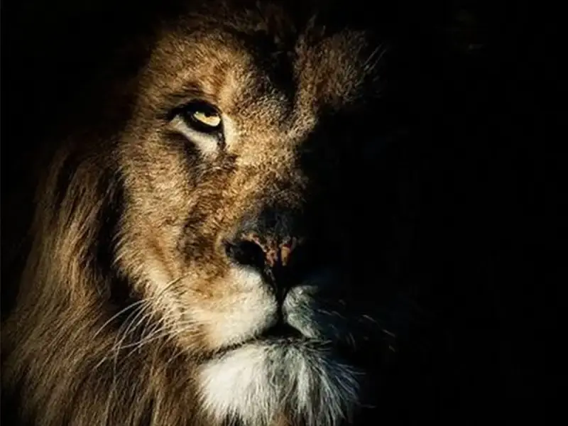 The 5 Eye Contact Traps