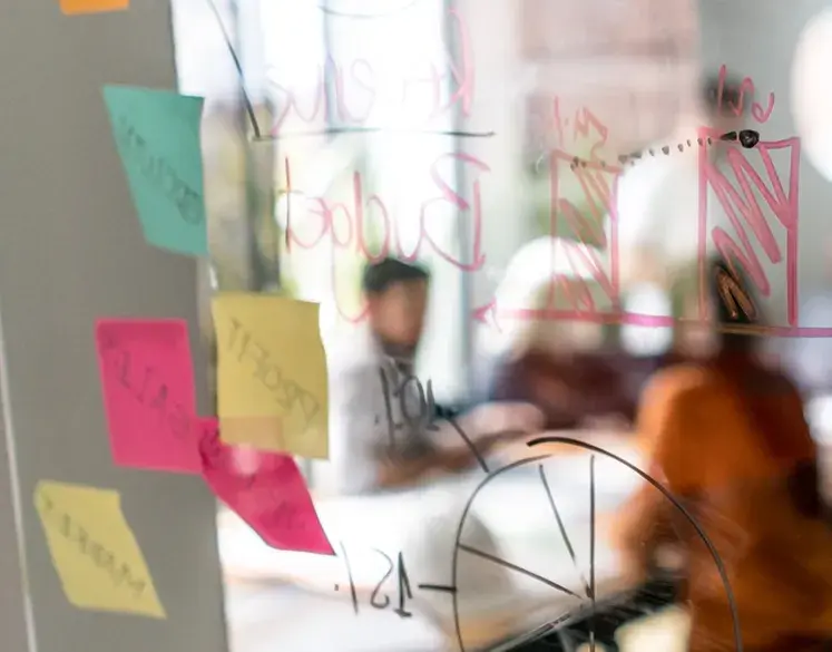 Optimize Your People and Organizational Systems